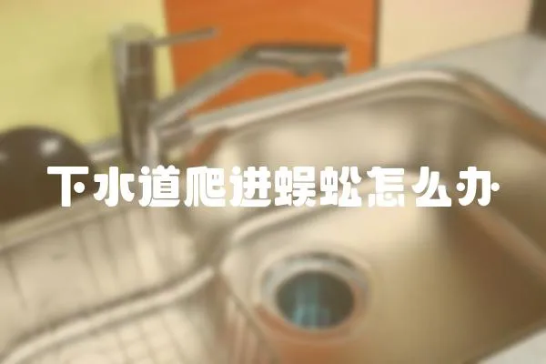 下水道爬進蜈蚣怎么辦