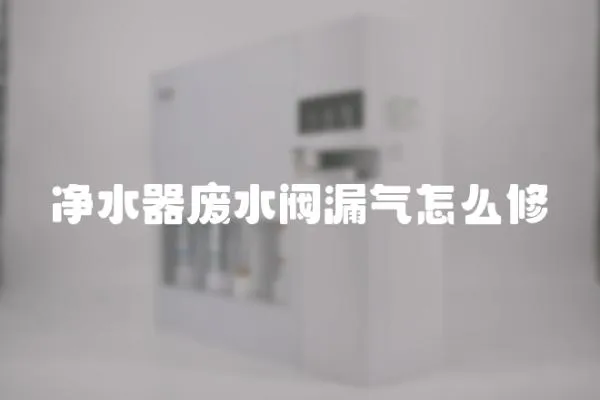 凈水器廢水閥漏氣怎么修