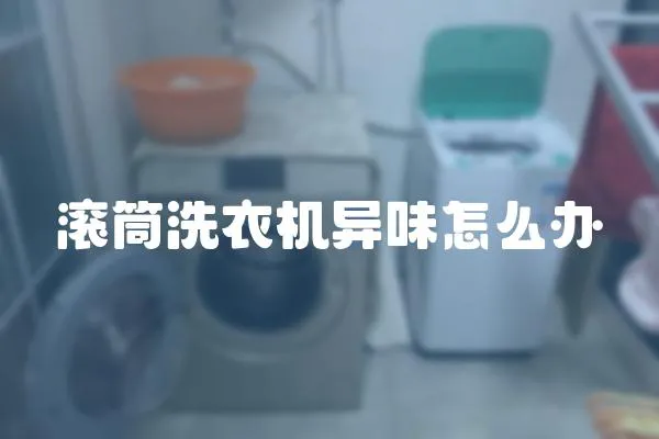 滾筒洗衣機異味怎么辦
