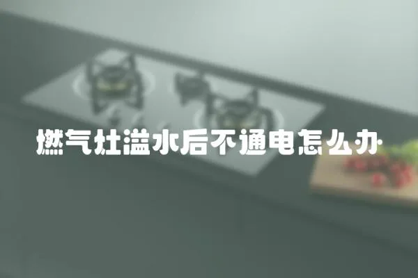 燃氣灶溢水后不通電怎么辦