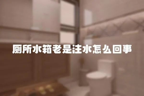 廁所水箱老是注水怎么回事