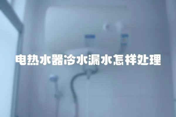 電熱水器冷水漏水怎樣處理