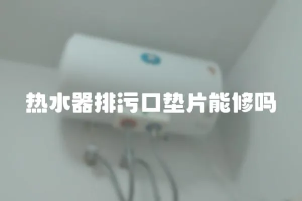 熱水器排污口墊片能修嗎