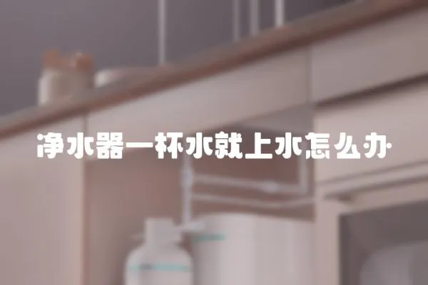 凈水器一杯水就上水怎么辦