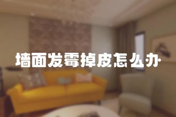 墻面發霉掉皮怎么辦