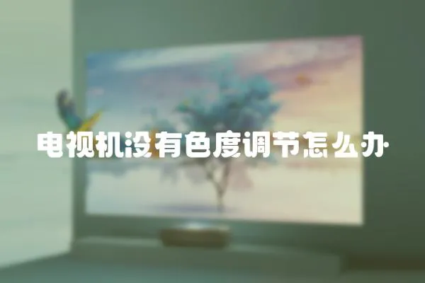 電視機沒有色度調節怎么辦