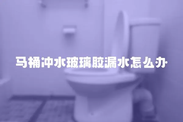 馬桶沖水玻璃膠漏水怎么辦