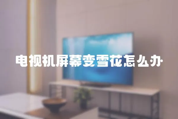 電視機(jī)屏幕變雪花怎么辦