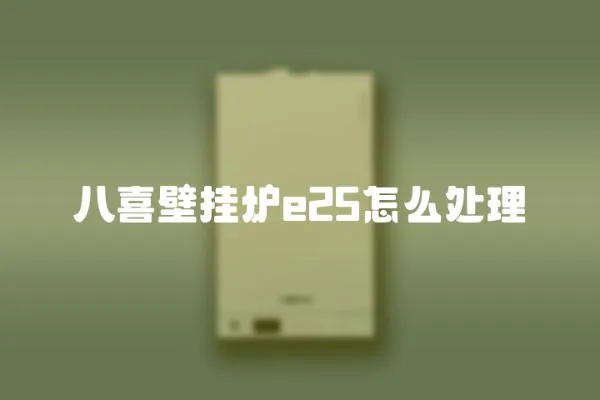 八喜壁掛爐e25怎么處理
