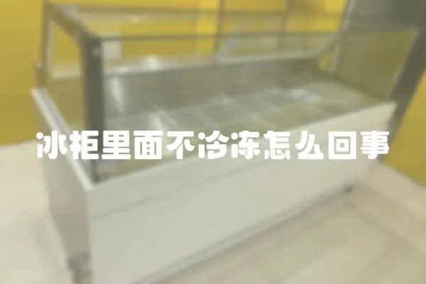 冰柜里面不冷凍怎么回事