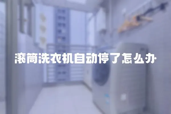 滾筒洗衣機自動停了怎么辦