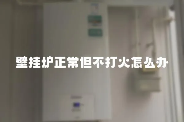 壁掛爐正常但不打火怎么辦