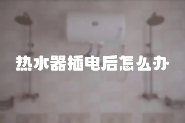 熱水器插電后怎么辦