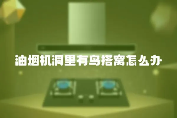 油煙機洞里有鳥搭窩怎么辦