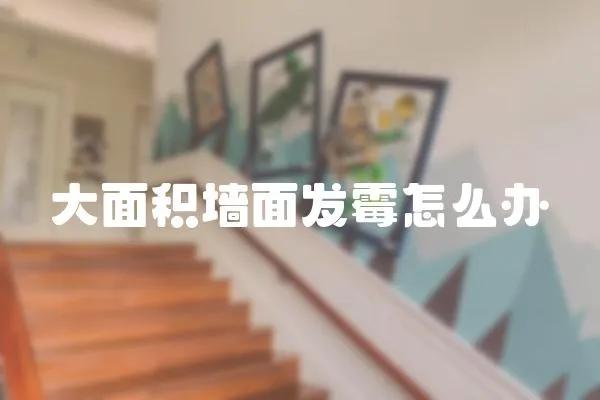 大面積墻面發(fā)霉怎么辦