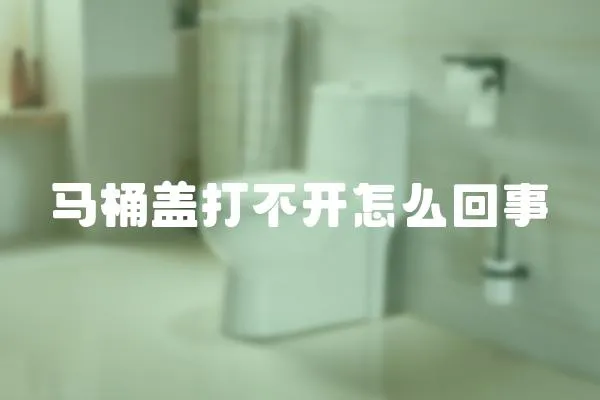 馬桶蓋打不開怎么回事