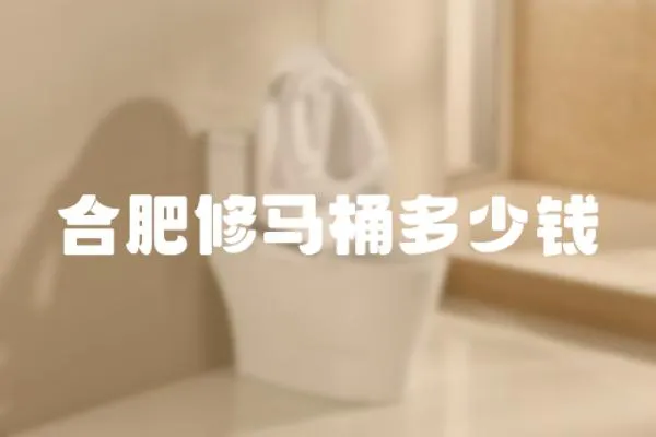 合肥修馬桶多少錢