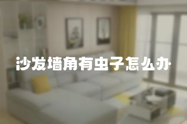 沙發墻角有蟲子怎么辦
