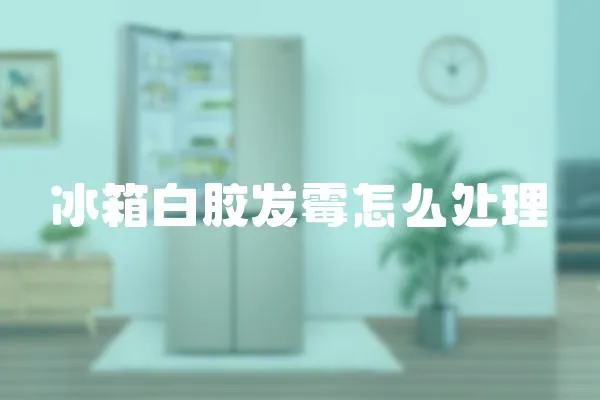 冰箱白膠發霉怎么處理