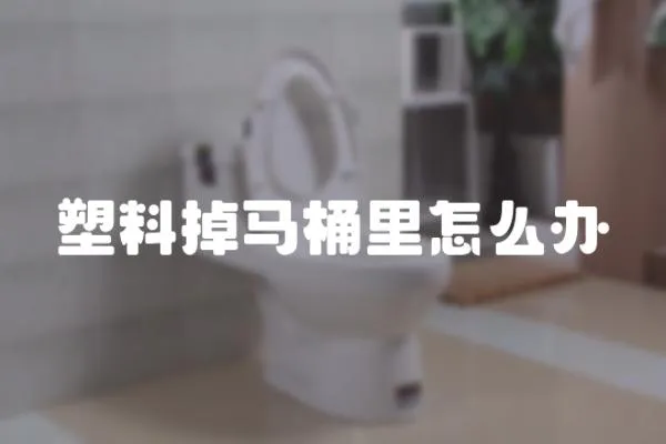 塑料掉馬桶里怎么辦