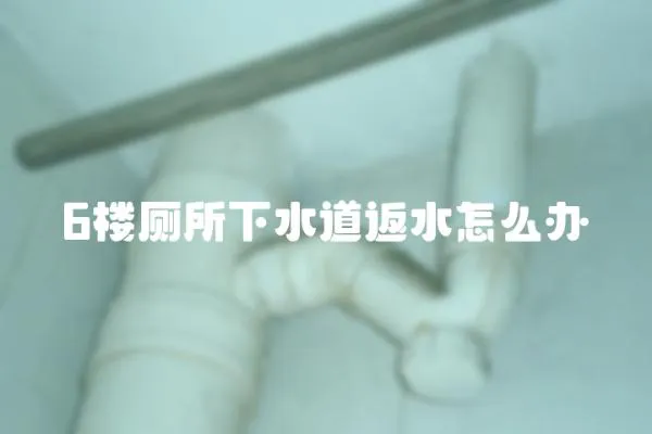6樓廁所下水道返水怎么辦