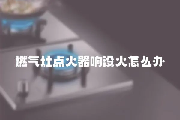 燃?xì)庠铧c(diǎn)火器響沒(méi)火怎么辦