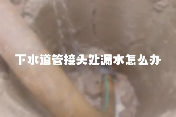 下水道管接頭處漏水怎么辦