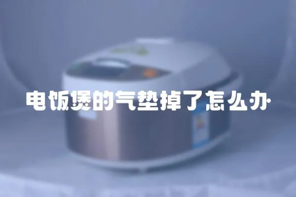 電飯煲的氣墊掉了怎么辦