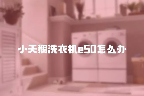小天鵝洗衣機e50怎么辦