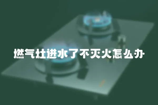 燃氣灶進水了不滅火怎么辦