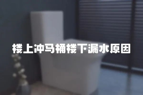 樓上沖馬桶樓下漏水原因
