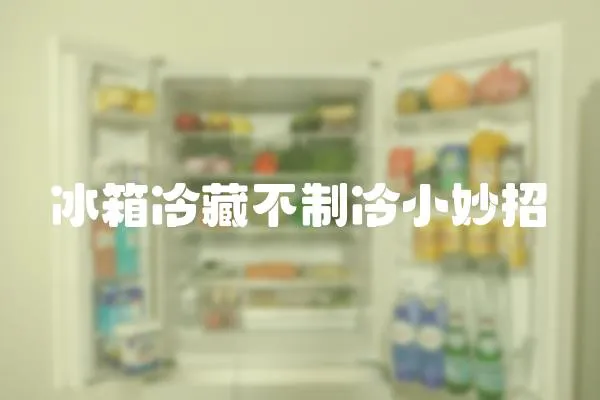 冰箱冷藏不制冷小妙招
