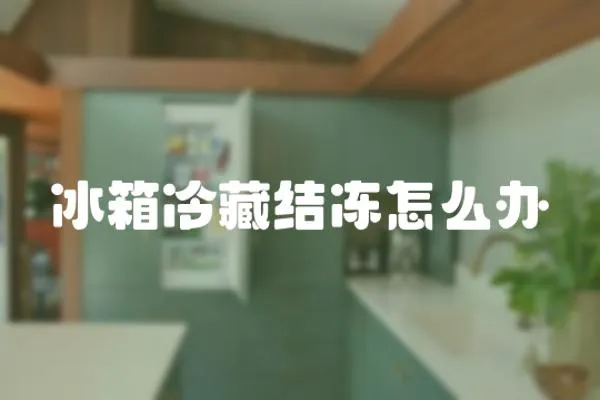 冰箱冷藏結凍怎么辦