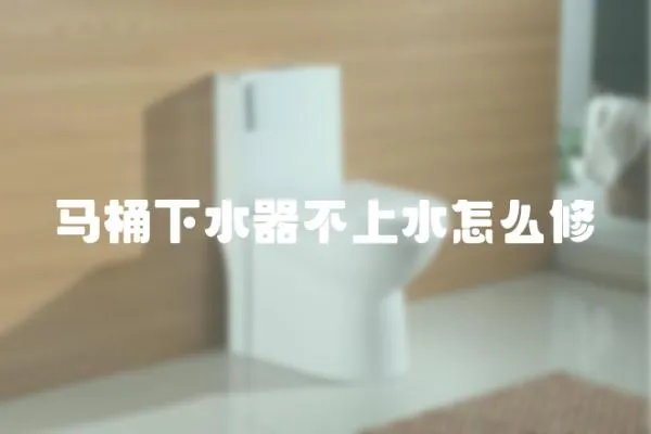馬桶下水器不上水怎么修