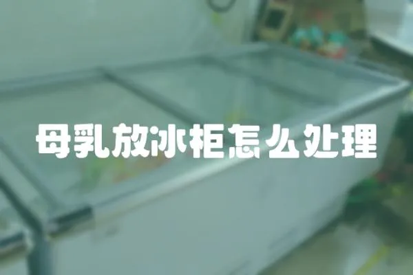 母乳放冰柜怎么處理