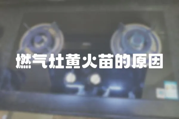燃?xì)庠铧S火苗的原因
