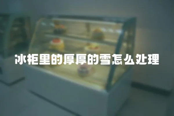 冰柜里的厚厚的雪怎么處理