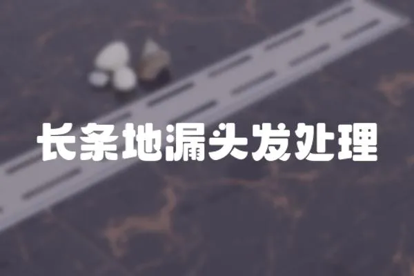 長條地漏頭發處理