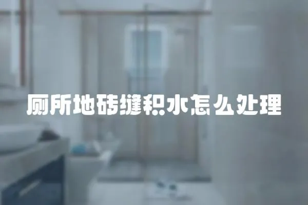 廁所地磚縫積水怎么處理