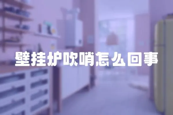 壁掛爐吹哨怎么回事