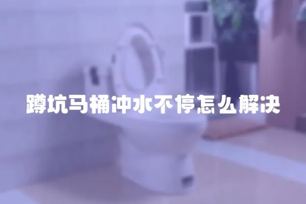 蹲坑馬桶沖水不停怎么解決