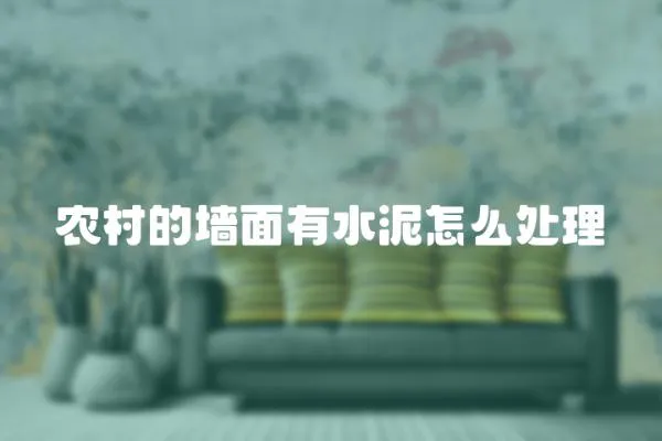 農(nóng)村的墻面有水泥怎么處理