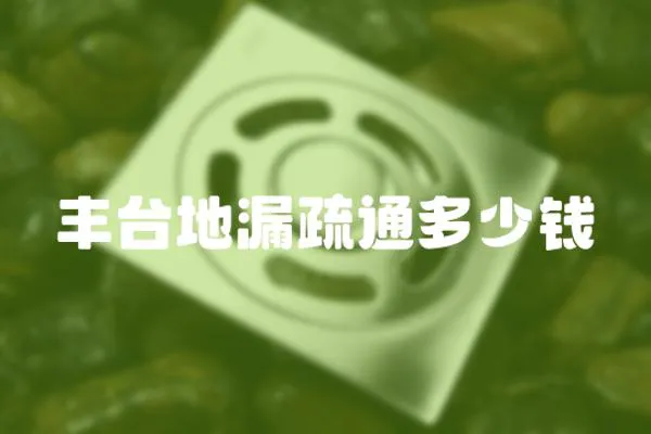 豐臺地漏疏通多少錢