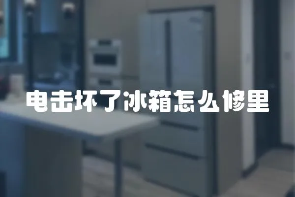 電擊壞了冰箱怎么修里