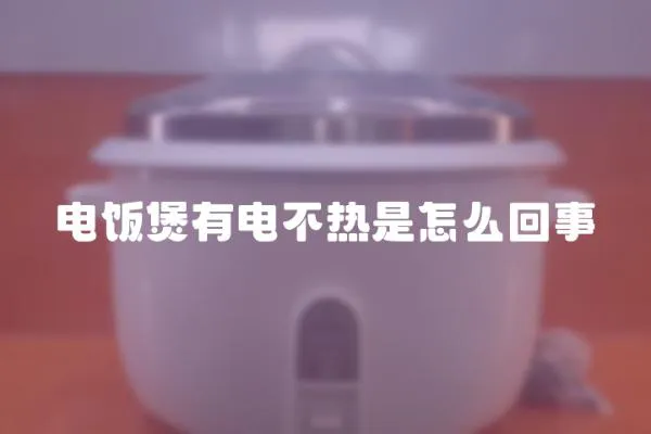 電飯煲有電不熱是怎么回事