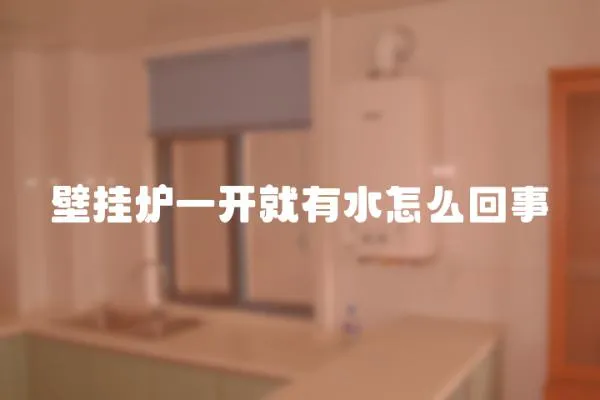 壁掛爐一開就有水怎么回事
