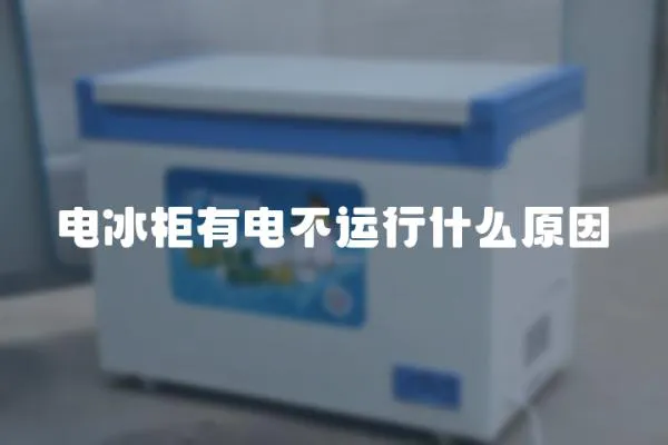 電冰柜有電不運行什么原因