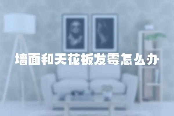 墻面和天花板發(fā)霉怎么辦