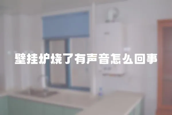 壁掛爐燒了有聲音怎么回事