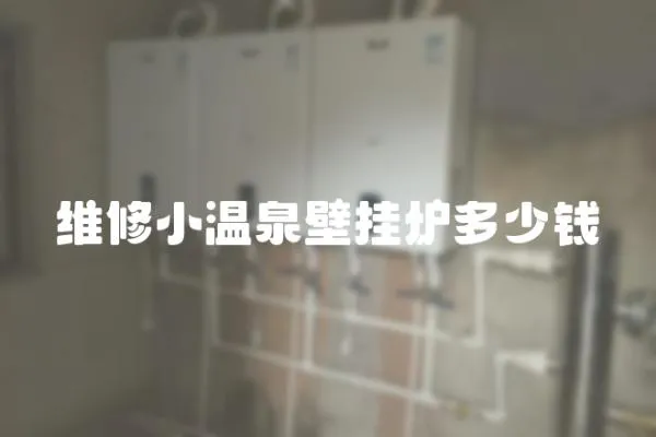 維修小溫泉壁掛爐多少錢